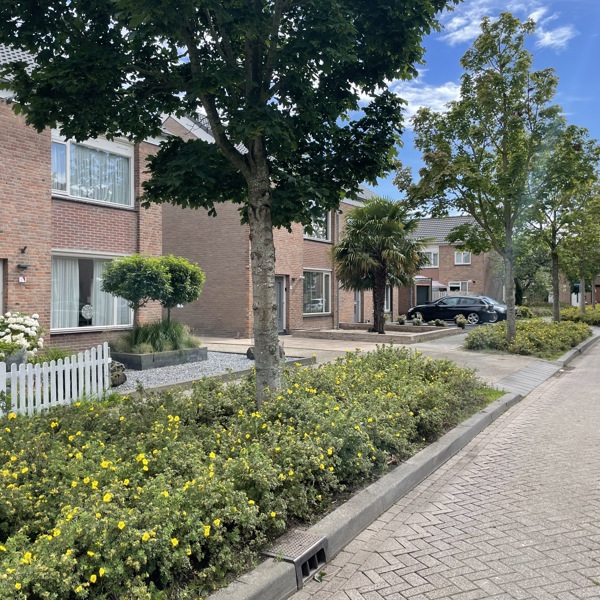 Afrondingsfeestje Onderhouds en Verduurzamingstraject 7 Sociale afrondingsfeestje-onderhouds-en-verduurzamingstraject-7-sociale